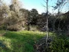 60 Riddoch Highway, Tarpeena, SA 5277-Image