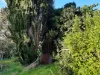60 Riddoch Highway, Tarpeena, SA 5277-Image