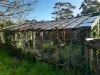 60 Riddoch Highway, Tarpeena, SA 5277-Image