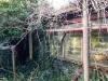 60 Riddoch Highway, Tarpeena, SA 5277-Image