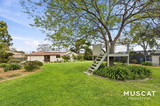 60 Rosman Circuit, Gilmore, ACT 2905