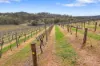 60 Saw Mill Road, Sevenhill, SA 5453-Image