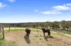 60 Saw Mill Road, Sevenhill, SA 5453-Image