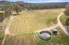 60 Saw Mill Road, Sevenhill, SA 5453-Image