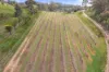60 Saw Mill Road, Sevenhill, SA 5453-Image