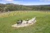 60 Saw Mill Road, Sevenhill, SA 5453-Image