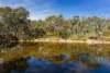 60 Sparks Road, Chewton Bushlands, Vic 3451-Image