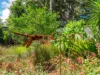 60 Spring Street, East Lismore, NSW 2480-Image