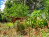 60 Spring Street, East Lismore, NSW 2480-Image
