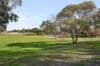 60 St Andrews Loop, Cooloongup, WA 6168-Image