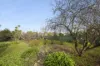 60  Talbot Road, Clunes, Vic 3370-Image