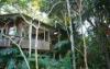 60 Tickles Road, Upper Coopers Creek, NSW 2482-Image