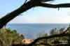 601 Ventnor Beach Road, Ventnor, Vic 3922-Image
