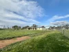 602 Spring Creek Road, Young, NSW 2594-Image