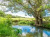 6044 Tweed Valley Way, Burringbar, NSW 2483-Image
