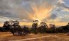 605 Bunjils Cave Road, BLACK RANGE VIC 3381-Image