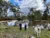 605 Bunjils Cave Road, BLACK RANGE VIC 3381-Image