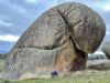 605 Bunjils Cave Road, BLACK RANGE VIC 3381-Image