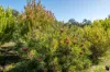 605 Orchard Road, Wooroloo, WA 6558-Image