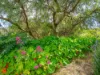 605 Wattle Grove Road, Wattle Grove, Tas 7109-Image