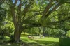 606 Darkwood Road, Bellingen, NSW 2454