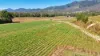 6062 Mackay Eungella Rd, Netherdale, Qld 4756-Image