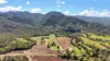 6062 Mackay Eungella Rd, Netherdale, Qld 4756-Image