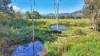 6062 Mackay Eungella Rd, Netherdale, Qld 4756-Image