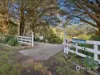 609 Hedley Range Road, Binginwarri, Vic 3966-Image
