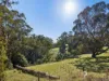 609 Hedley Range Road, Binginwarri, Vic 3966-Image