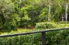 60A Kingsvale Road, Myocum, NSW 2481-Image