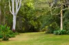 60A Kingsvale Road, Myocum, NSW 2481-Image