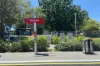 60A Tintern Avenue, Telopea, NSW 2117-Image
