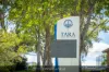 60A Tintern Avenue, Telopea, NSW 2117-Image
