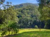 61-61a Convincing Ground Road, Karangi, NSW 2450-Image