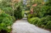 61-65 Leichhardt Street, Blackheath NSW 2785-Image