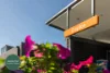 61 Acton Street, Croydon, NSW 2132-Image