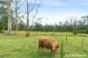 61 Cornfield Parade, Fishermans Paradise, NSW 2539-Image
