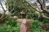 61 Dwyer Street, Clifton Hill, Vic 3068-Image