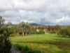 61 Ferris Street, Thoona, Vic 3726-Image