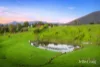 61 Garnook Grove, Badger Creek, Vic 3777-Image