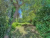 61 Great Alpine Road, Bruthen, Vic 3885-Image
