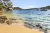 61 Gurney Crescent, Seaforth, NSW 2092-Image