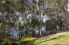 61 James Scott Crescent, Lemon Tree Passage, NSW 2319-Image