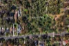 61 Main Street, Blackburn, Vic 3130-Image