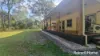 61 Mcleans Bridge Road, Julatten, Qld 4871-Image