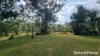 61 Mcleans Bridge Road, Julatten, Qld 4871-Image