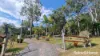 61 Mcleans Bridge Road, Julatten, Qld 4871-Image