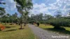 61 Mcleans Bridge Road, Julatten, Qld 4871-Image
