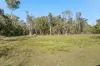61 Oxford Street, Bidwill, Qld 4650-Image